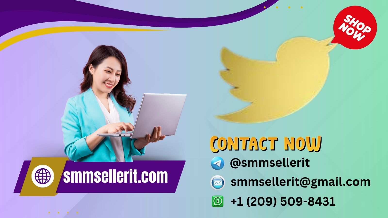 Buy Old Twitter Accounts